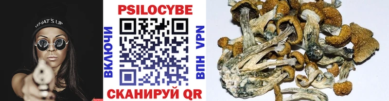 Псилоцибиновые грибы Magic Shrooms  Алексин 